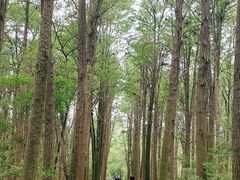-同里国家湿地公园