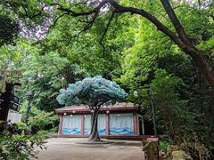 -杭州黄龙洞