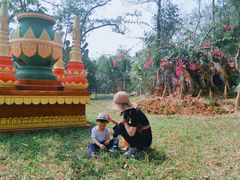 -瑞丽独树成林风景区