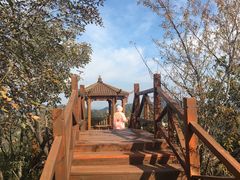 -大岭沟猕猴桃谷风景区