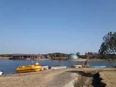 -上海都市菜园