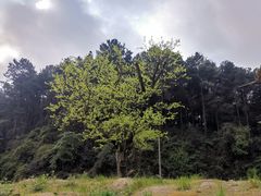-贵阳市花溪国家城市湿地公园