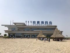 -哈素海