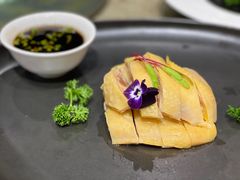 白切草鸡-外滩1288花园丽舍