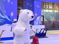 -西安银基冰雪世界