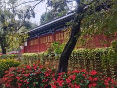 -黑龙潭公园