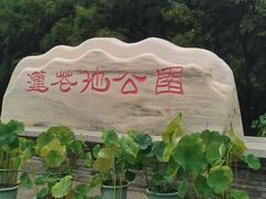 -莲花池公园