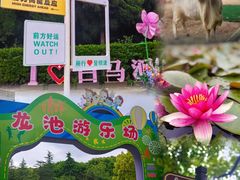 -白马涧龙池景区