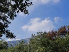 -佛慧山