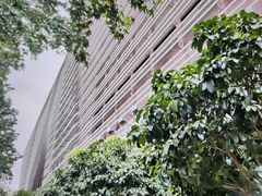 -上海市徐汇区口腔医院