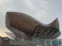 -小巴塞罗那海滩