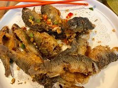 酥脆禾花鱼-虾饺妹·酒家(海珠广场店)