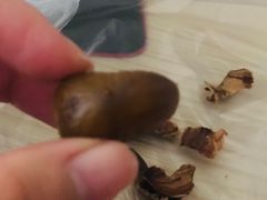 -陈记栗子(长宁路店)