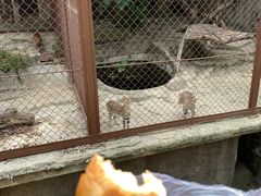 -大连森林动物园