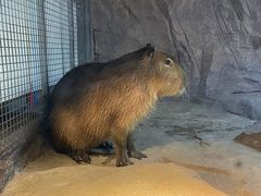 -宁波野生动物园