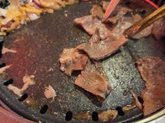 -杨记齐齐哈尔烤肉(总店)