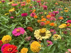 -盘龙城国家考古遗址公园