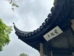 -苏州上方山国家森林公园