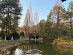 -虞山风景区
