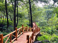-大岭沟猕猴桃谷风景区