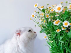 -雕刻时光咖啡馆(交大店)