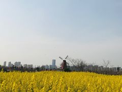 -南通鲜花小镇