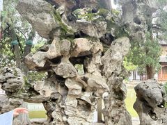 -南京中国近代史遗址博物馆(南京总统府)