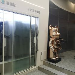 -MINX名珂斯·烫染形象设计