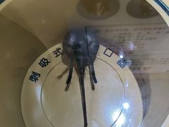 -上海昆虫博物馆
