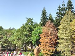 -云溪植物园