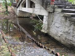 -大屏嶂森林公园