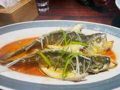 -前海沿·青岛菜(五四广场永旺店)