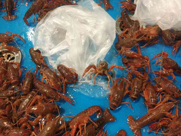 "-大众点评移动版