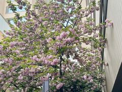 -四川大学(华西校区)