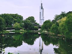 -紫峰大厦