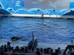 -上海海昌海洋公园