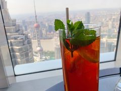 -The lounge 柏悦酒店大堂酒廊(上海环球金融中心店)