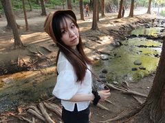 -白水寺森林公园