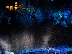 -禅宗少林·音乐大典