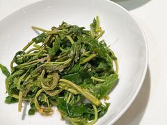 凉拌香椿-金鼎轩(亚运村店)