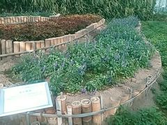 -晶宝温泉农庄