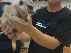 -藦茜花园宠物主题亲子互动体验馆(国顺东路店)