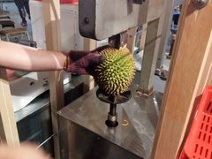 -都念榴莲·城市榴莲