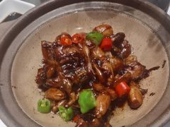 -紫阳富豪大酒店(惠南店)