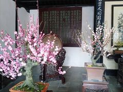 -无锡梅园公园
