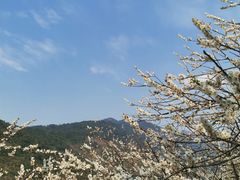 -广州市流溪河国家森林公园