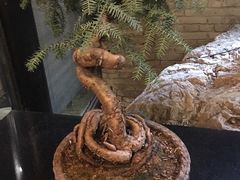 -鱼桥巷·美学川菜