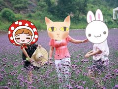 -紫海香堤香草艺术庄园