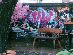 -柴犬高等学院·狗咖·柴犬售卖·宠物训练