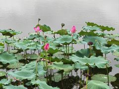 -上海市保健医疗中心